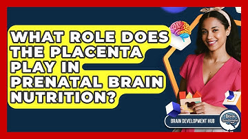 What Role Does The Placenta Play In Prenatal Brain Nutrition? - Brain Development Hub