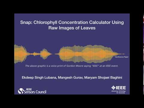 Snap: Chlorophyll Concentration Calculator Using Raw Images of Leaves
