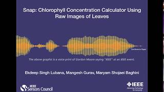 Snap: Chlorophyll Concentration Calculator Using Raw Images of Leaves