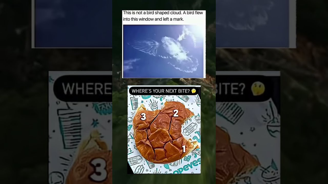 2p Memesdaily Zyxabc Funnyimages Memes