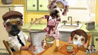 You ll Shoot Your Eye Out Alpha Pet Care Long Beach CA