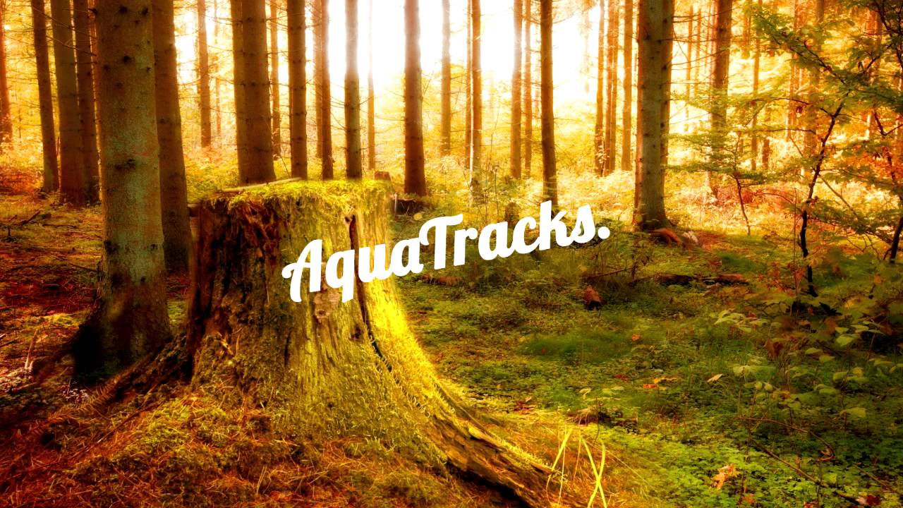 Witty - Haunted (Prod. Deoxis Rapper)