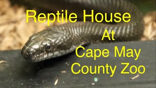 Gloomy Cloudy Day at Cape May County Zoo’s Reptile House