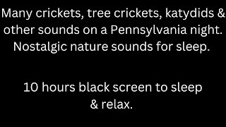 Many crickets, tree crickets, katydids, night sounds black screen sleep relax 10 hour cricket sounds