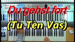 Du gehst fort chords