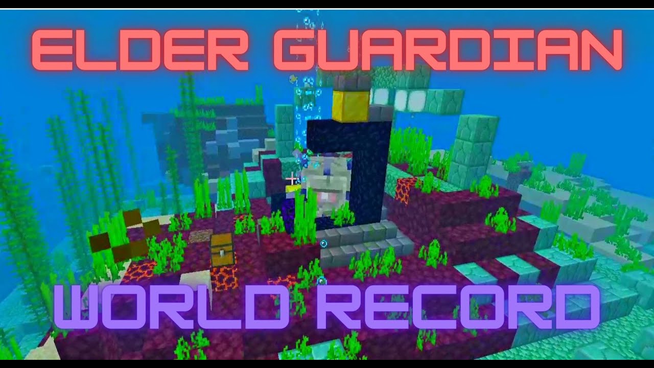 [WR] Kill Elder Guardian SSG in 18 Seconds!