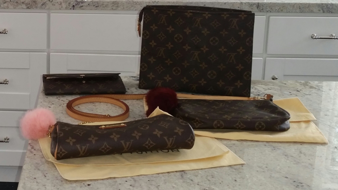 Eva Clutch vs Pochette