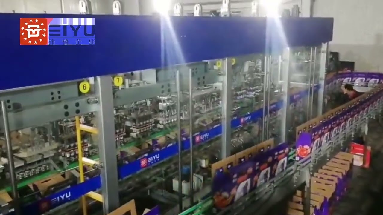Glass bottle carton packing machine at customer site 