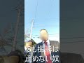 ヒットマンと間違えられたあの日