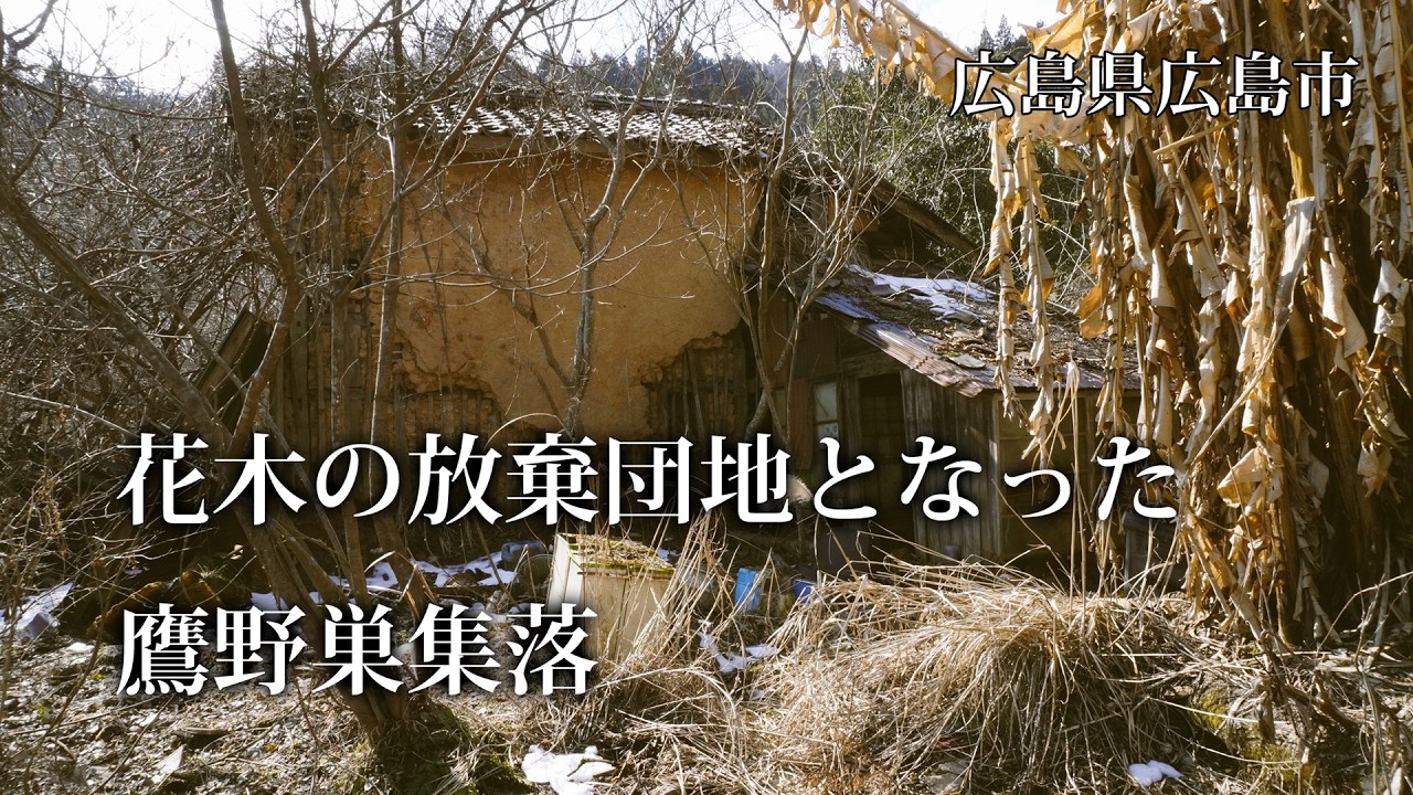 広島県広島市　花木の放棄団地となった鷹野巣集落