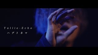 Yullie-Echo『ハプトネマ』 