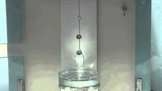 See How To Measure The Lamella Length During A Surface Tension Test