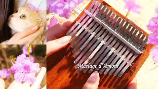 Mariage d'Amour (Spring Waltz) - Kalimba cover.