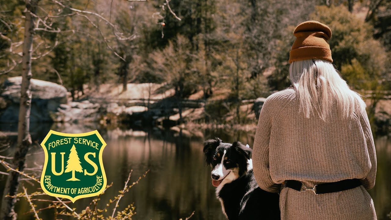 California’s Hidden Gem! Idyllwild, A Dog Friendly Mountain town. Secret Lake