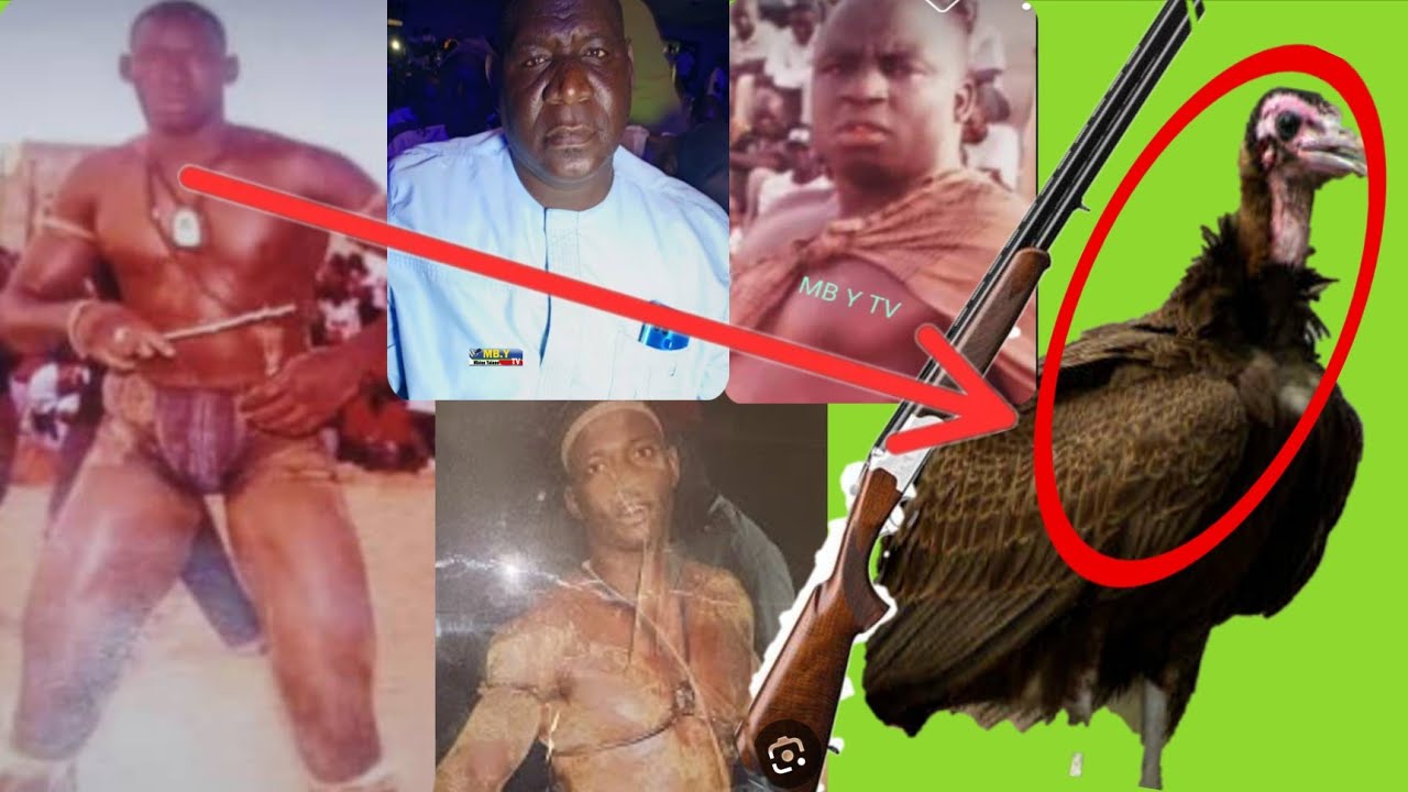 Troisième Partie ( Fin) Ibou Sarr : Sa Carrière à Dakar : Charognard est Sur.. On ma Tirê Un Fusil