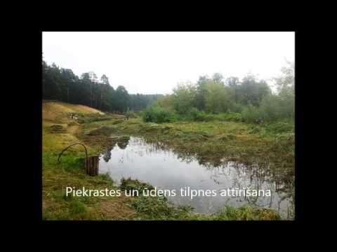 Video: Kas ir peldošie mitrāji: augi peldošajām salām