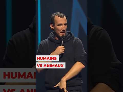 Humains VS Animaux