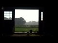🐔 Farm Ambient Sounds with Birds, Cattle and Rain on a Barn Roof. Perfect Ambience for Relaxation.