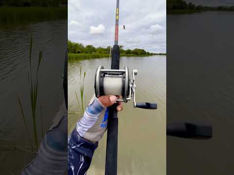 Penn Rod And Reel Combo Academy