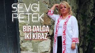 Sevgi Petek - Bir Dalda İki Kiraz Resimi