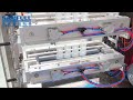 25ml cleaning liquid sachet form fill seal multi-lane type packing machine