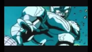 cell vs metal cooler