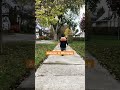Finally a nice autumn in Winnipeg #cute #toddlers #canada #winnipeg
