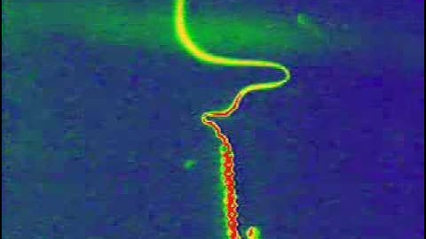 free-flow ITP on chip