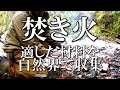 ブッシュクラフトの基本:焚き火(材料の現地調達)