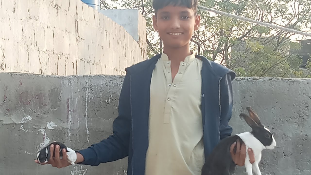 Alhamdulillah hamare baby rabbits ke eyes khul gay😍🐇🐇