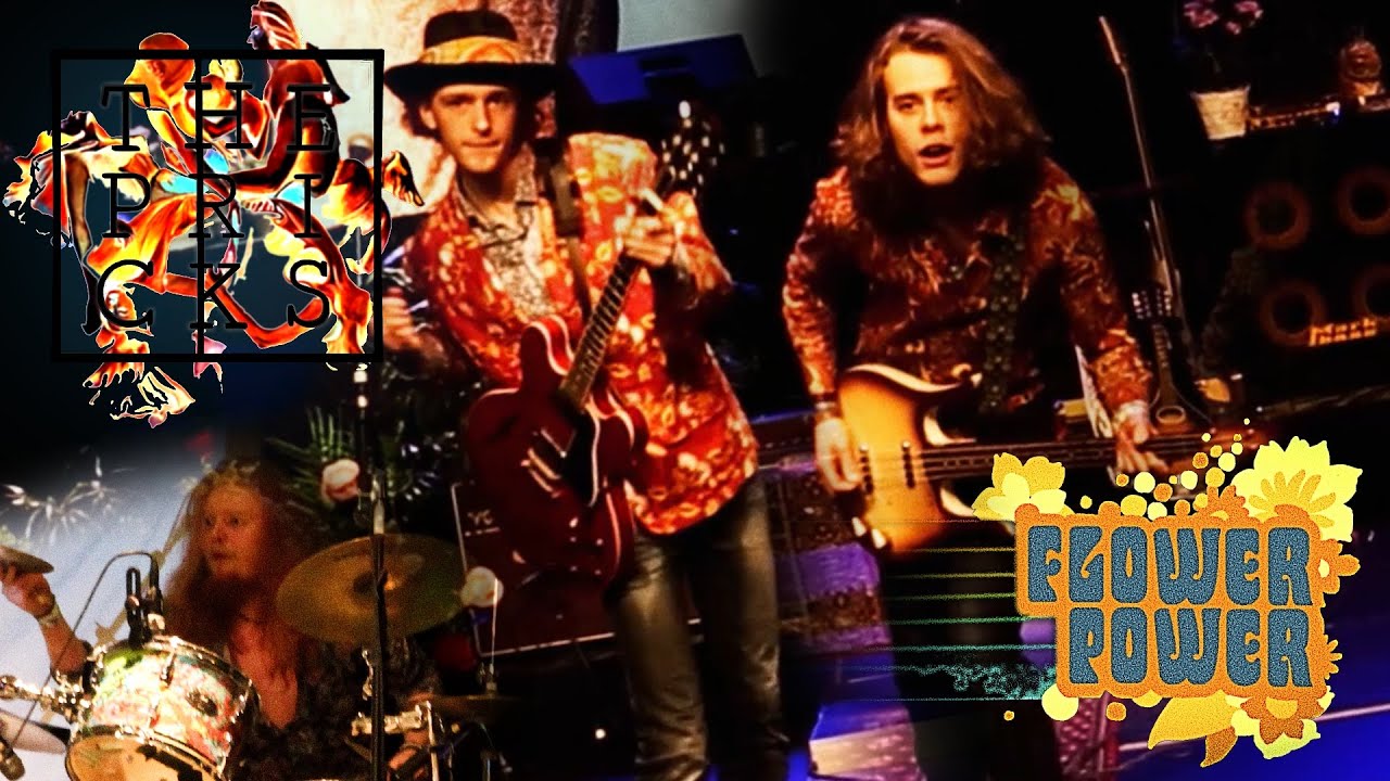 The Pricks - State Of Mind Live at the Flower Power concert