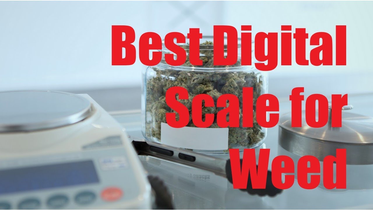 8 Best Digital Scales for Weed  Pick out the Top Weed Scale for