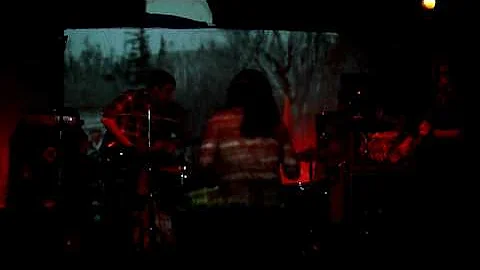 Conifer @ Space Gallery - Portland, Maine