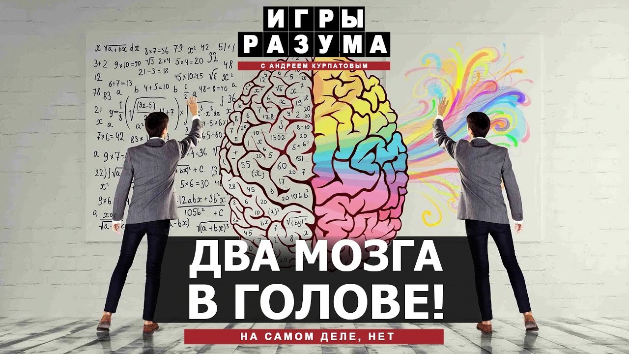 Расщеплённый мозг - это нормально. Андрей Курпатов на QWERTY.