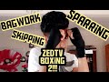 Zedtvs boxing moments part 2 training and more