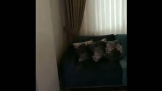 How to import furniture from Turkey - furniture and sofa