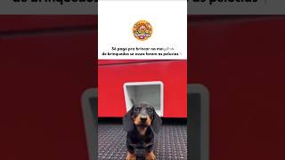 PREMIO 🤣🐕 #cachorro #memes #dachshund #humor #sintonizadosconale #viral #perros #juegos
