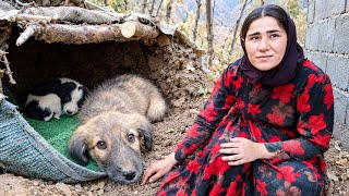 Fati Rescues 2 Abandoned Puppies While Caring for Her Sick Mother! 🐶💔