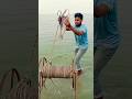 Unbelievable! Catching a Pair of Hilsa Fish Using Only a fish & hook 🪝#fishing #fishingvideo #short