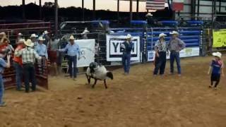 Dripping Springs Fair & Rodeo 2016 Mutton Bustin' - Garrett Comer