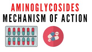 Aminoglycosides Mechanism Of Action And Clification