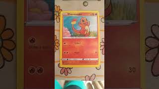 my pokemon charizard  collection #greenrider #toy  #roblox #nerf #gun  #pokemon #cards #trading