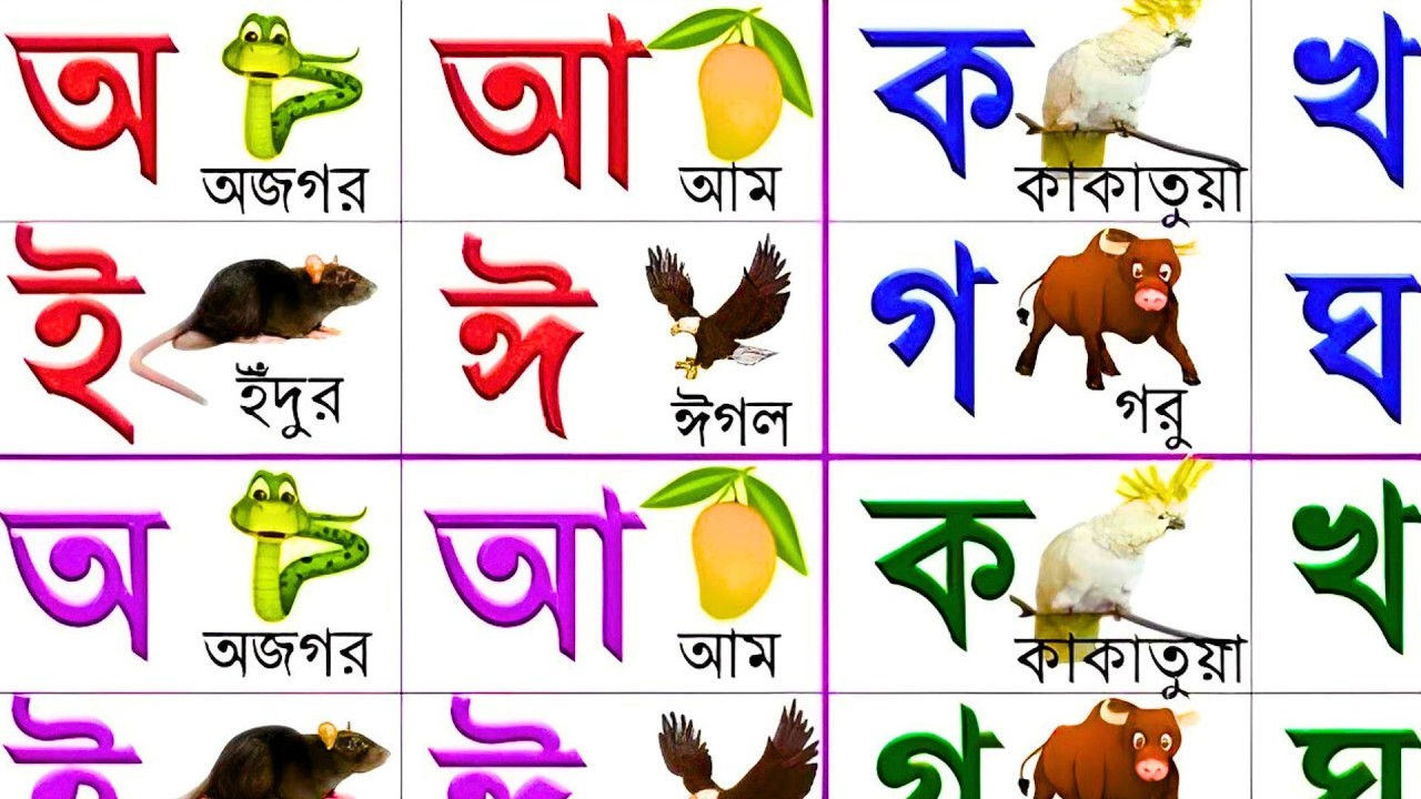 বাংলা বর্ণমালা শিখি | ব্যঞ্জনবর্ণ ক খ গ ঘ | স্বরবর্ণ অ আ ই ঈ | bangla bornomala | Bangla Words