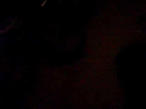 otto and gary part 1