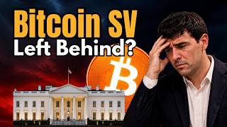 BSV Insider Reveals The BSVA’s Private Meetings With US Regulators