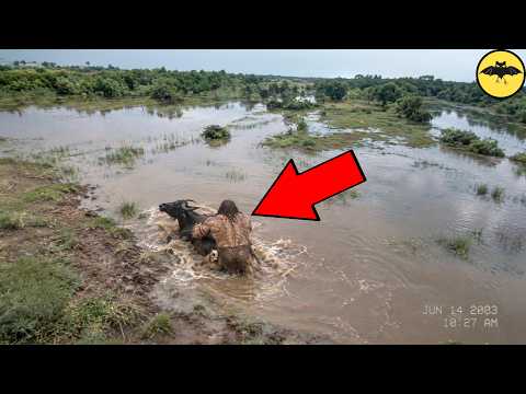 10 Mysterious Sightings Caught on Camera in Remote Places
