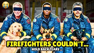 Blindfolded Firefighters Let Shelter Dogs Choose Their Owners And THIS Happened 💔