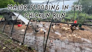 On the spot flood water management in the chicken run and plant nursery