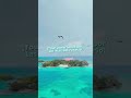 Tour Top 3 islas🌴, el tour perfecto para pasar un día de playita increíble