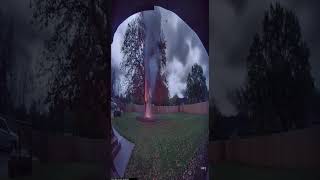 Security Cam Captures Tree EXPLODING from Lightning Strike! 🤯